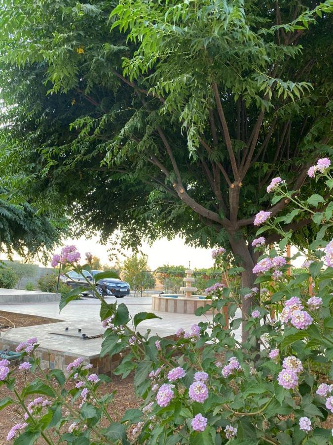 مزرعة النجم Najem Farm Villa Al-Qasr Luaran gambar