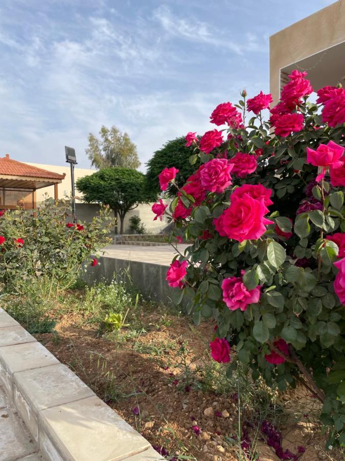 مزرعة النجم Najem Farm Villa Al-Qasr Luaran gambar