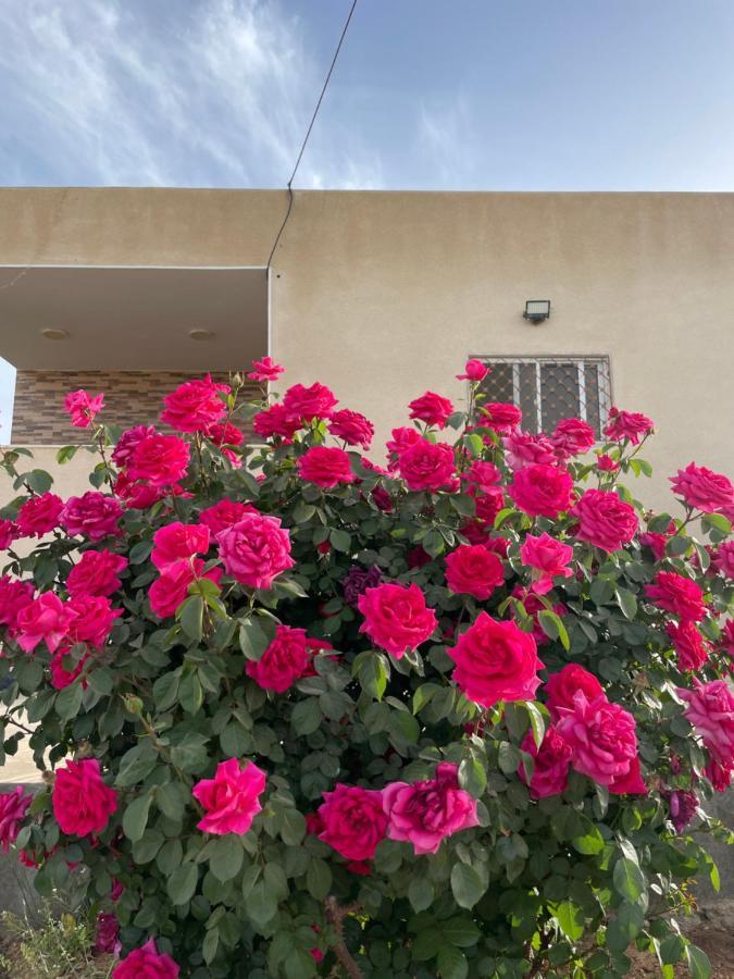 مزرعة النجم Najem Farm Villa Al-Qasr Luaran gambar