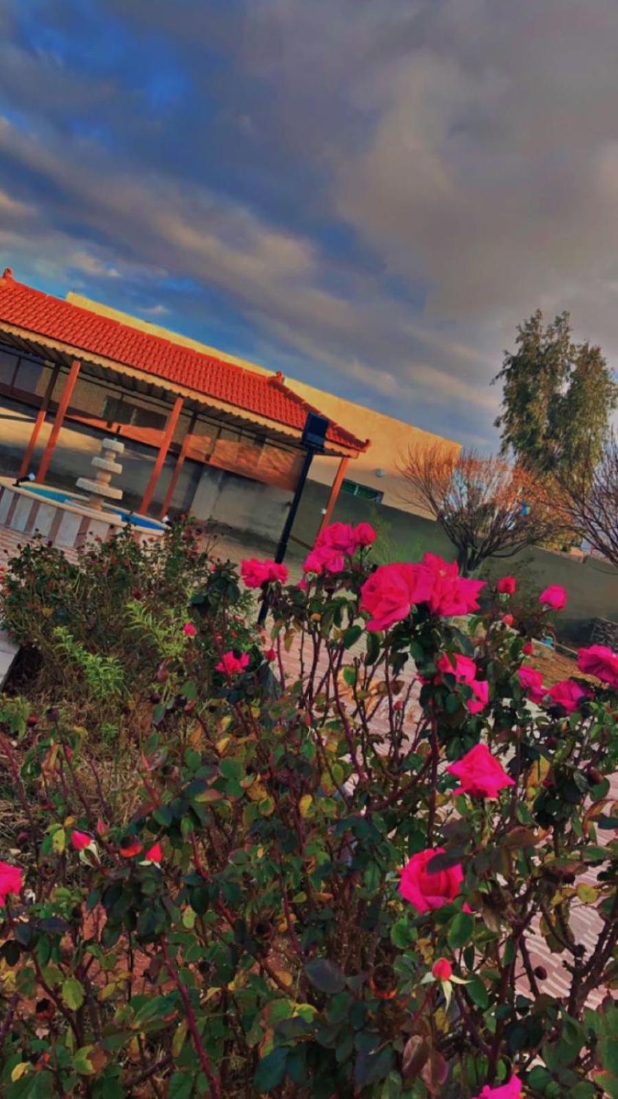 مزرعة النجم Najem Farm Villa Al-Qasr Luaran gambar