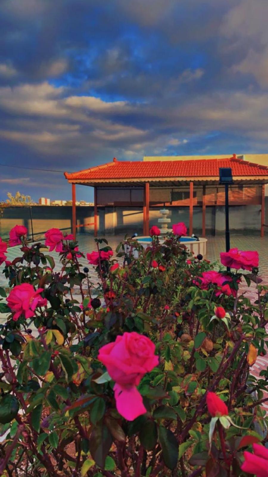 مزرعة النجم Najem Farm Villa Al-Qasr Luaran gambar